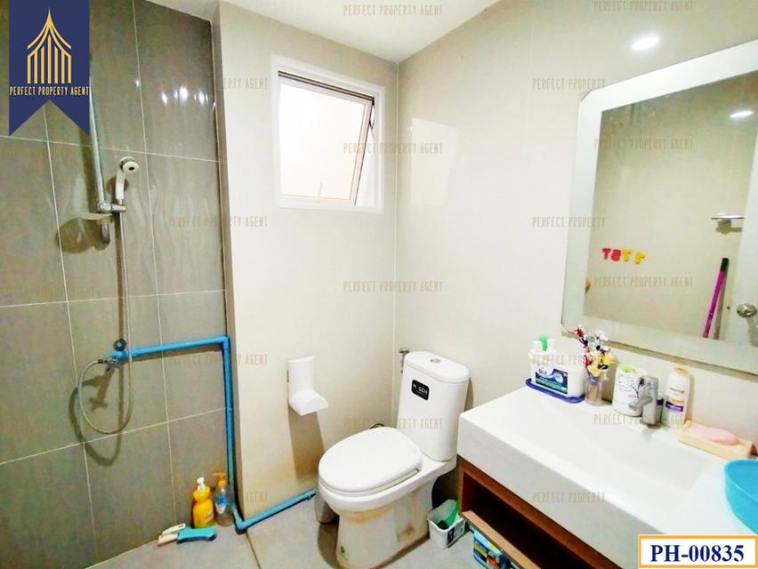 ขายบ้านแฝด บ้านริมสวน ซีนเนอรี บางนา-สุวรรณภูมิ ใกล้ทางด่วน เดินทางสะดวก 8