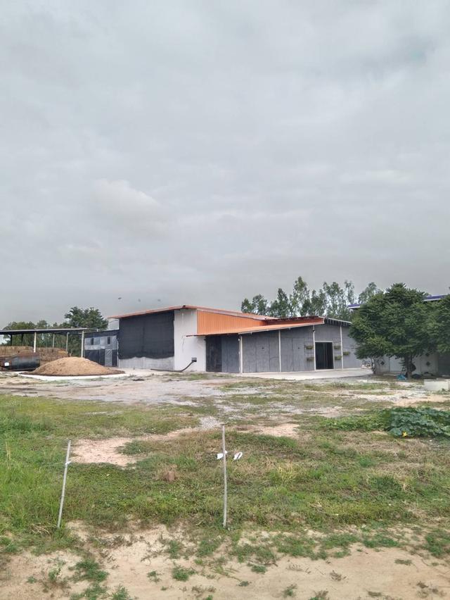 ที่ดินพร้อมจริงปลูกสร้าง 14