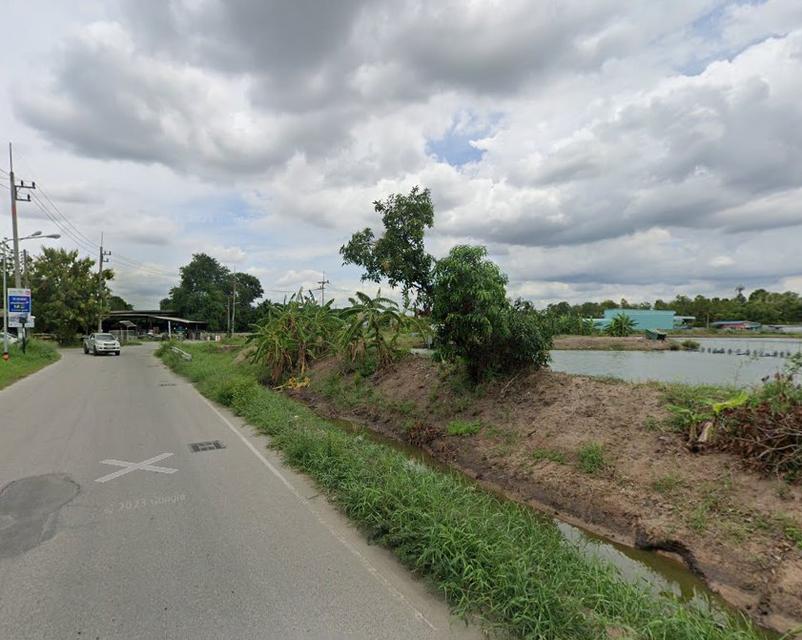 ขายที่ดินพานทองสีม่วงลาย 31 ไร่ หลังนิคมอมตะติดถนนลาดยางใกล้แยกพานทอง(ถ.บ้านเก่า3466)-1กม. จ.ชลบุรี 5