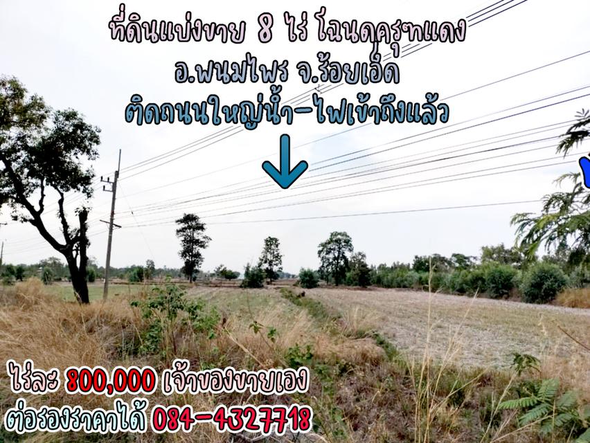 ที่ดินแบ่งขาย 8 ไร่ ราคาไร่ละ 800,000 พร้อมโฉนดครุฑแดง น้ำไฟผ่าน ติดถนนใหญ่ จ.ร้อยเอ็ด เจ้าของขายเอง ราคาต่อรองราคาได้ สนใจติดต่อ 084-4327718 11