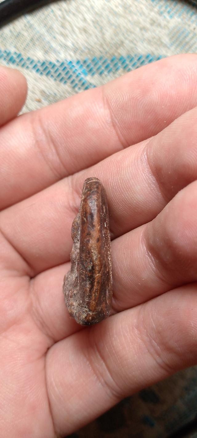 พระซุ้มกอ พิมพ์เล็ก  3