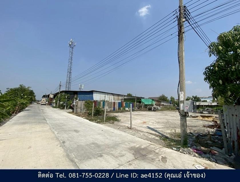 แบ่งขายที่ดิน 200 ตร.วา - 1 ไร่ ย่านพุทธมณฑลสาย 3 2