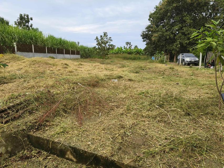 ขายที่ดินติดริมน้ำปิงกำแพงเพชร 5