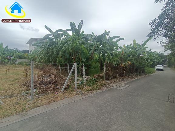 ขายที่ดิน 50 ตารางวา ซอยนาคนิวาส 14 ลาดพร้าว 2