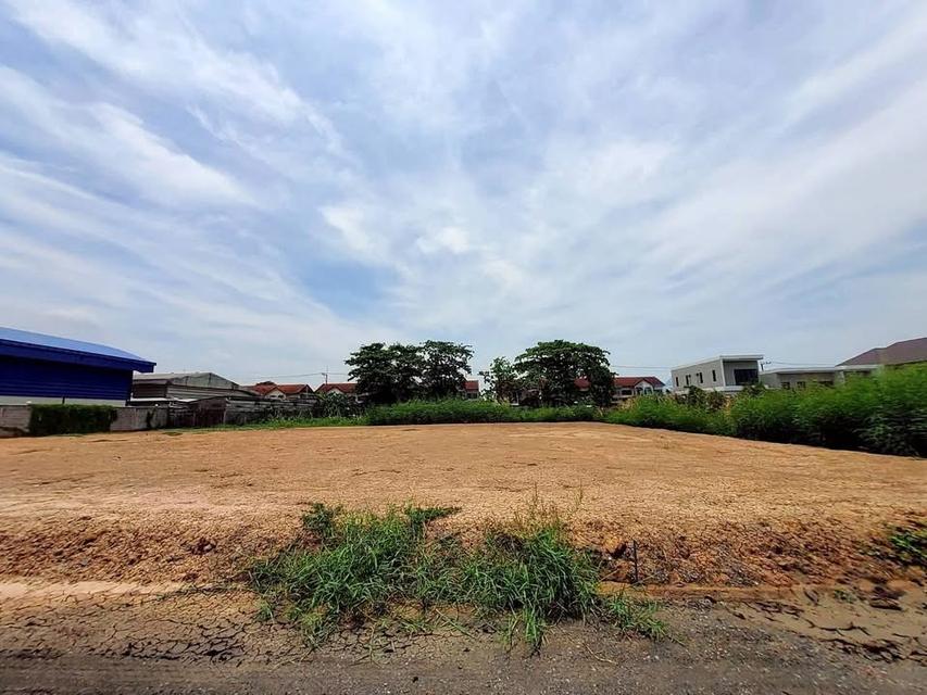 ขายที่ดินคลองห้า 1 ไรติดถนนสาธารณะ ถมสูงกว่าถนนซอย คลองห้า ตะวันออก 3 อ.คลองหลวง จ.ปทุมธานี รูปย่อยที่ 5