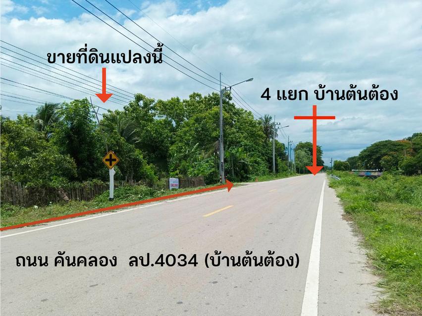 ขายที่ดินเปล่า 1 งาน 47 ตร.วา บ้านต้นต้อง ต.พิชัย อ.เมืองลำปาง 1