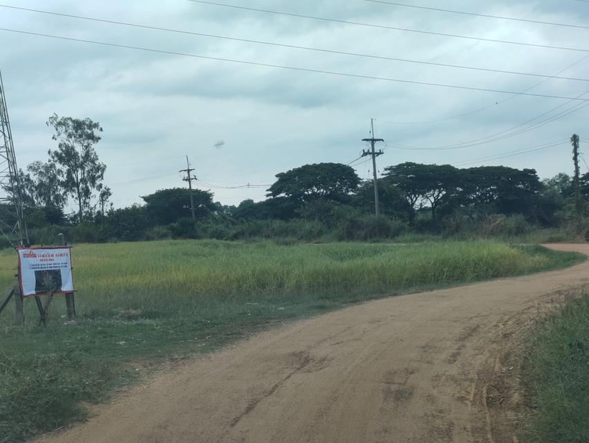 ขายที่ดินเปล่าบ้านโนนตุ๋น 4