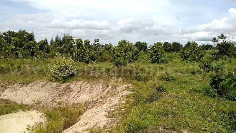 ที่ดินเปล่า 10-3-36 ไร่ ท่าม่วง กาญจนบุรี ปลูกต้นสักทองกว่า 500 ต้น 8