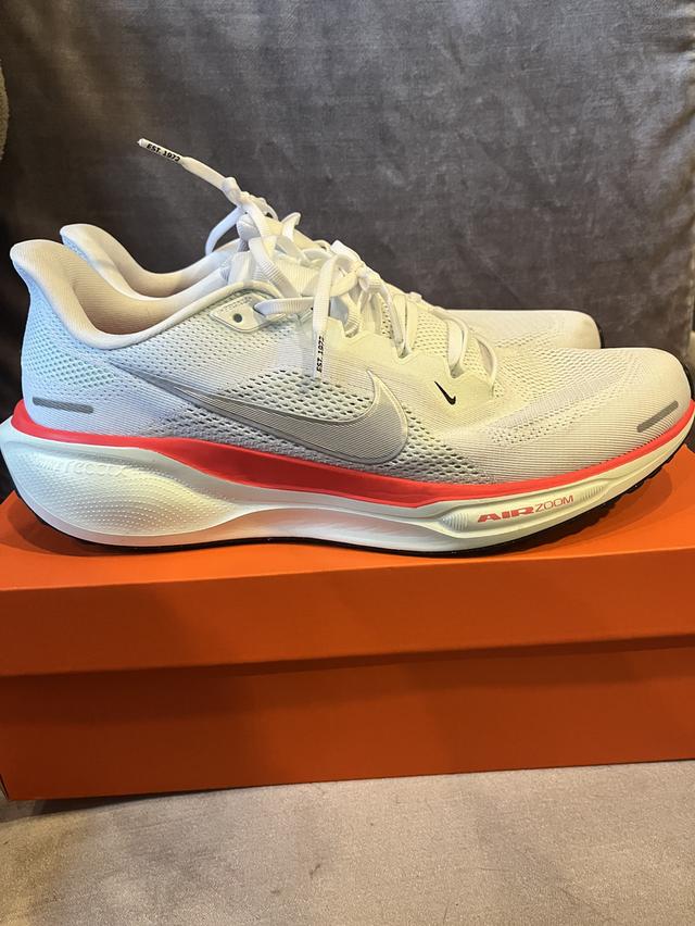 Nike pegasus 41 11 US