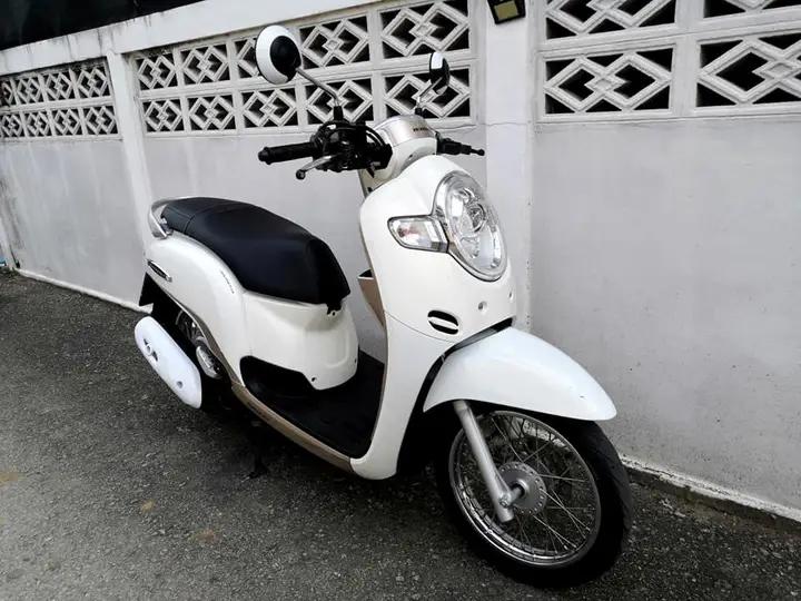 พร้อมขาย  Honda Scoopy จังหวัด ชลบุรี 3