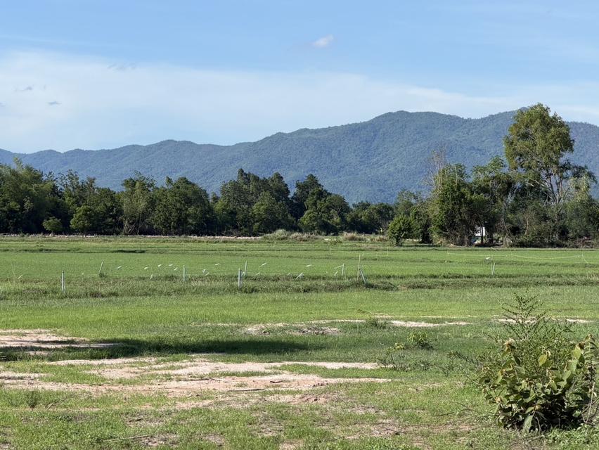 ที่ดินสวย วิวภูเขา จ.อุทัยธานี 18