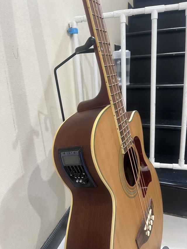 เบสโปร่งไฟฟ้า Vivid รุ่น 485C ไฟฟ้า 4 สาย ขายพร้อมตู้แอมป์เบส Behringer BX108 8 นิ้ว 15 วัตต์ รูปย่อยที่ 3