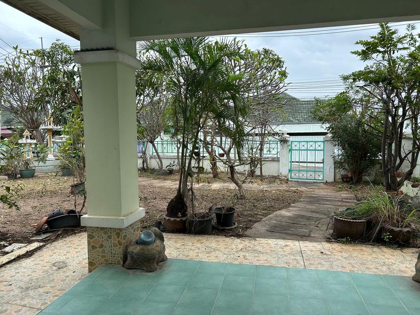 บ้านเดี่ยวหมู่บ้านชาลิตา 2 บางละมุง ชลบุรี เนือ้ที่ 142 ตรว. 16