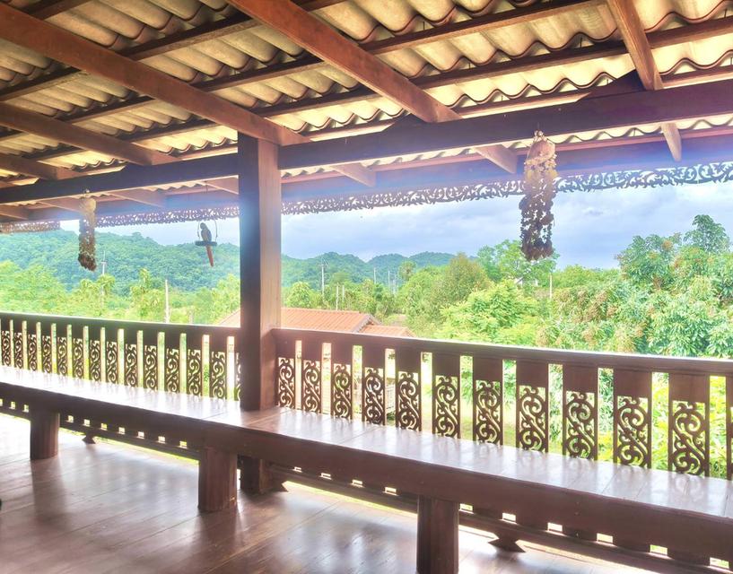 ขายที่สวนทุเรียน เขาใหญ่ ปากช่อง บ้านสวนผลไม้ คลองม่วง นครราชสีมา ที่ดิน 11 ไร่ บ้านไม้เรือนไทย ใกล้ภูเขา วิวเขาล้อมรอบสวยมาก ที่สูงอากาศดี 0879074045 10