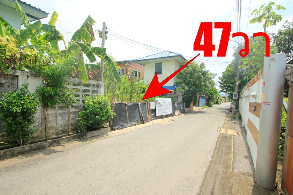 ที่ดินประชาอุทิศ69แยก16-6 สุขสวัสดิ์64 เทคโนบางมด 47ตารางวา ที่ถมแล้ว ที่ดินสร้างบ้าน ใกล้ทางด่วน เซ็นทรัลพระราม2  4