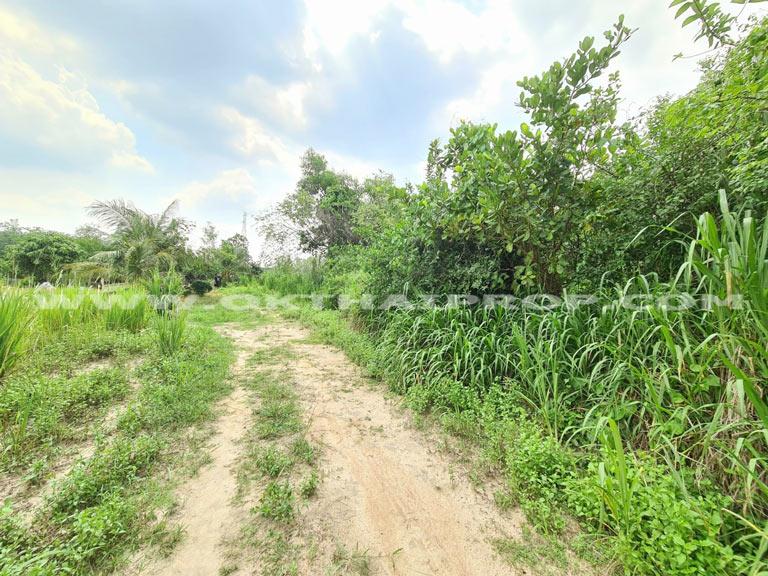 ที่ดินติดถนน ถ.เฉลิมพระเกียรติ ร.9 อ.หนองใหญ่ จ.ชลบุรี 5