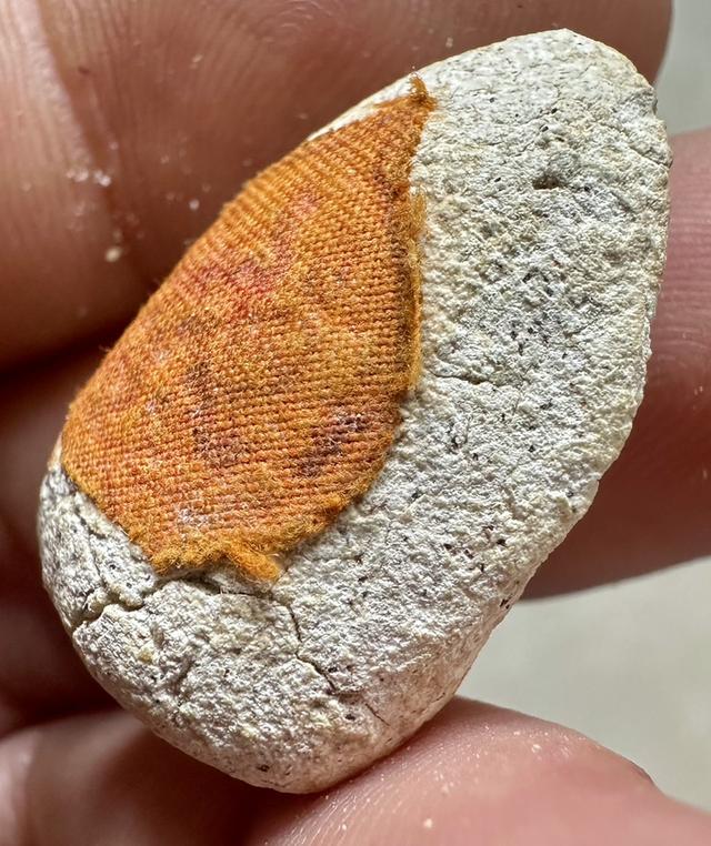 พระปิดตาหลวงพ่อภู วัดต้นสน เนื้อผงพุทธคุณ 5