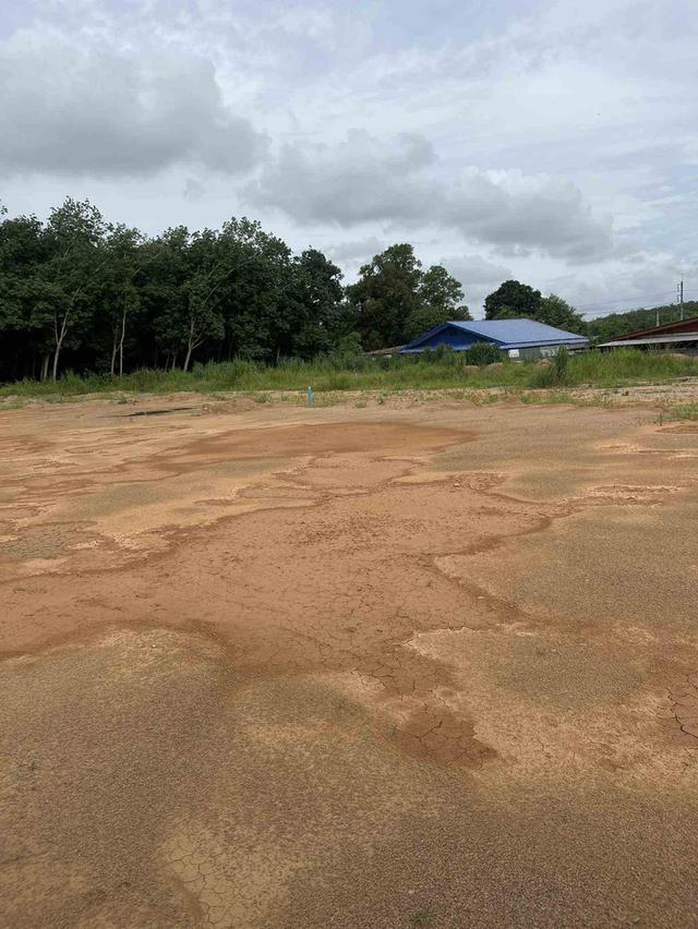ขายที่ดินจัดสรรหนองละลอกเริ่มต้น 50 ตรว. ถมแล้วน้ำ-ไฟพร้อมใกล้นิคมปิ่นทอง6-1.8กม. อ.บ้านค่าย ระยอง 7