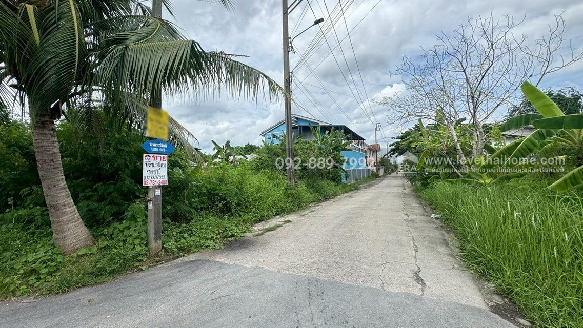 ขายที่ดิน ซอยบรมราชชนนี74 แยก9/14 พื้นที่ 50 ตรว. ราคาถูก ใกล้มหาวิทยาลัยมหิดล ศาลายา 7
