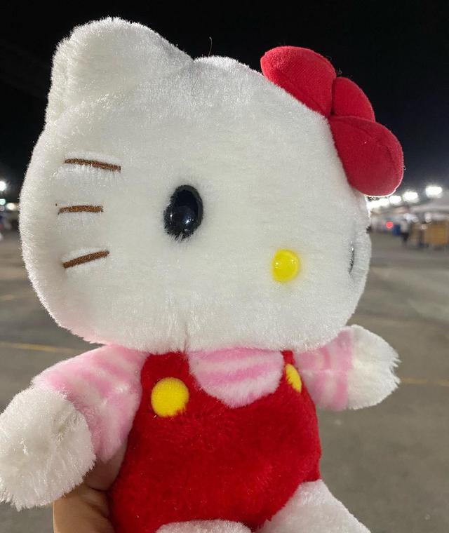 ตุ๊กตา Hello Kitty ของแท้ 3