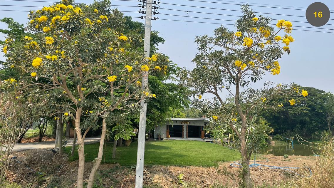 ที่ดินพร้อมสิ่งปลูกสร้าง 15