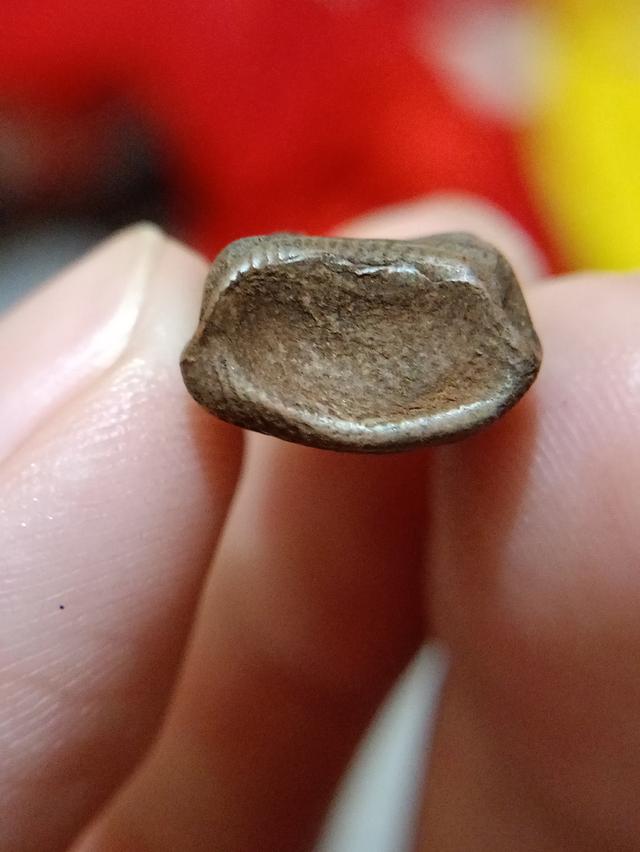 พระรอดเก่าลำพูนขอสะสมแคล้วคลาดคมชัดชวนขนลุกดูคลังธรรมชาติ