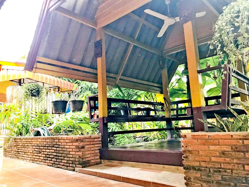ขายด่วน บ้านเดี่ยว 124.2 ตรว. ทำเลดีที่สุดใน หมู่บ้านพฤกษา15 8