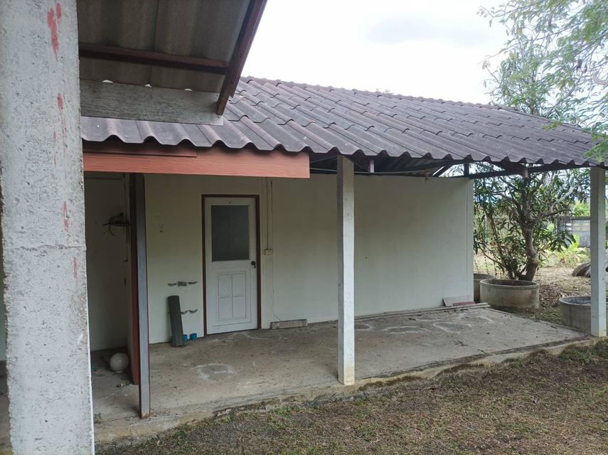 ขายบ้านพร้อมที่ดิน ต.สง่าบ้าน อ.ดอยสะเก็ด จ.เชียงใหม่ 11