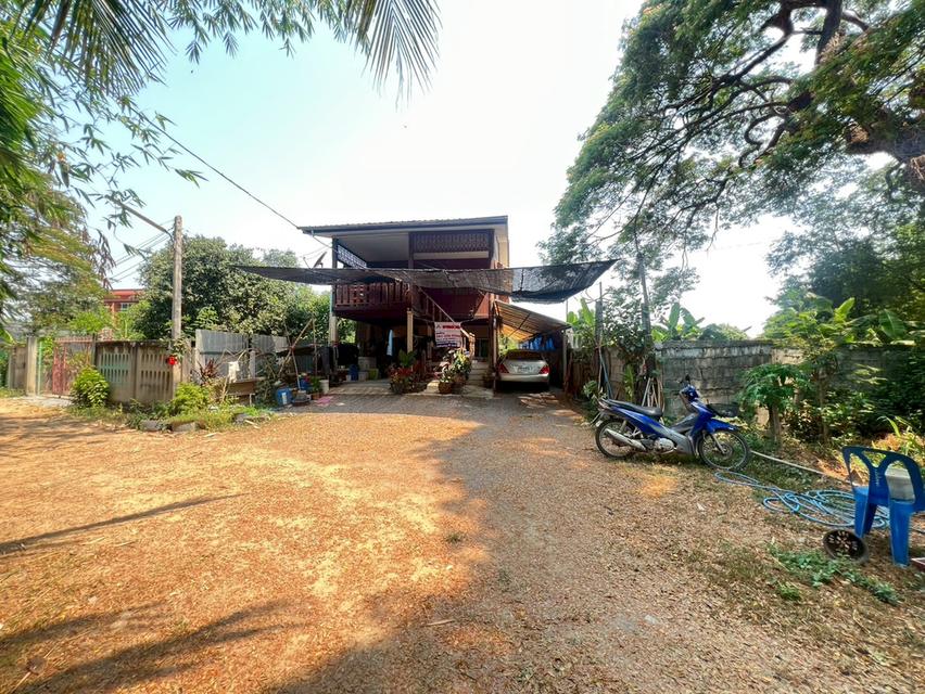 บ้านเดี่ยว 2 ชั้น 42 ตร.ว. ครึ่งปูนครึ่งไม้สัก สภาพดี จ.สิงห์บุรี 2