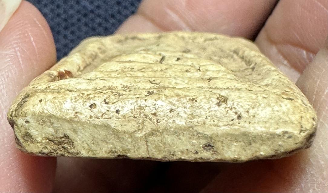 พระสมเด็จพระอาจารย์สุพจน์ วัดสุทัศน์ พิธีอินโดจีน ปี 2485 6