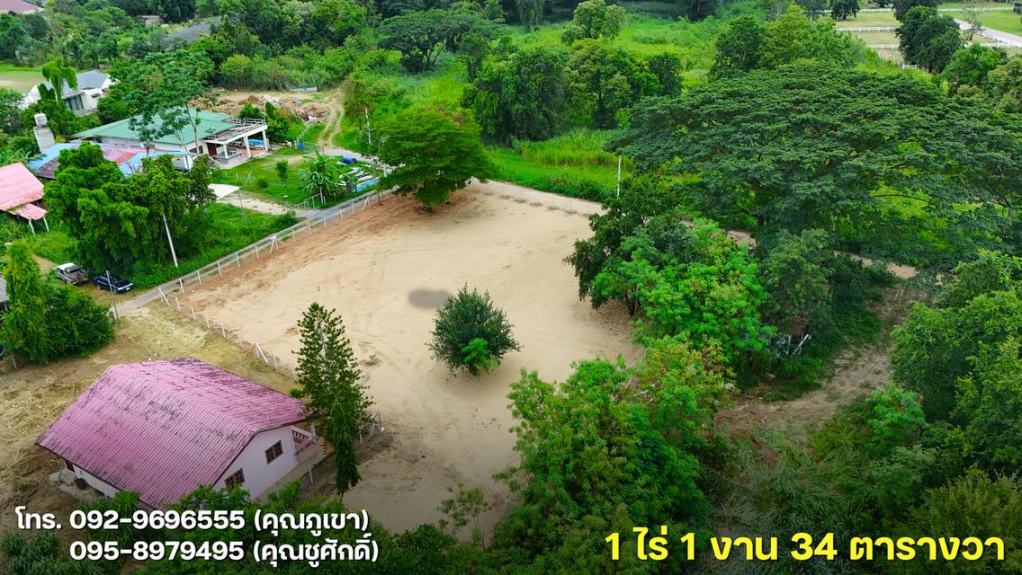 ขายที่ดินโซนเมืองปากช่อง 1 ไร่ 1 งาน 34 ตารางวา 8