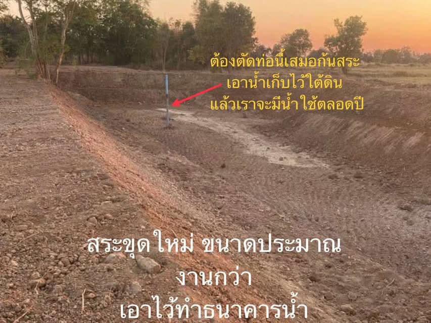 สวนเกษตรครบวงจร 52 ไร่ ราคาถูก อ.เมืองพิจิตร ขนาด 52 ไร่ 1 งาน 27 ตารา 14