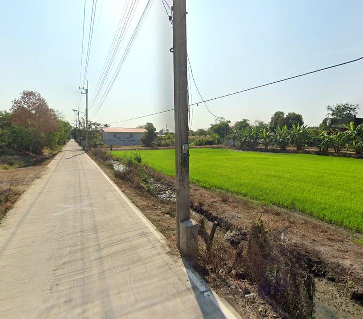 ขายที่ดินคูบางหลวงสีม่วง 2 ไร่ ติดถนน3ด้านราคาถูก ใกล้ถ.ปทุมธานี-บางเลน346-1กม. อ.ลาดหลุมแก้ว ปทุมธานี