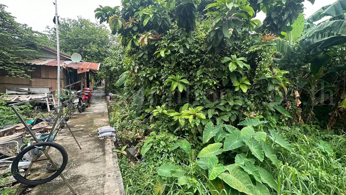 ที่ดิน 80.6 ตร.ว. ซอยจรัญสนิทวงศ์ 3 (ซอยสมชาย) ที่ริมคลอง ราคาถูกมาก 9