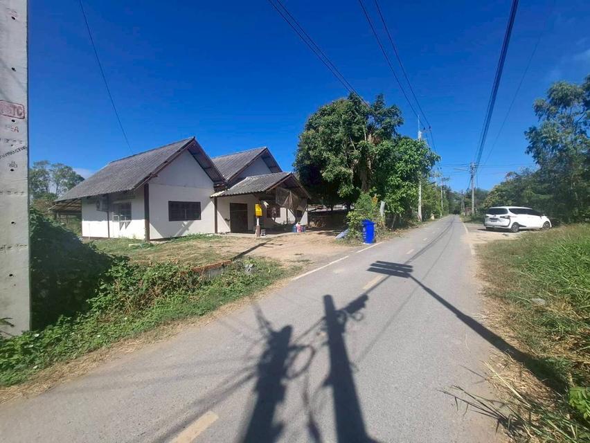 ขายบ้านชั้นเดียวพร้อมที่ดินเนื้อที่เยอะ บ้านห้วยกลางนาหมู่ 2 หนองแค สระบุรี 2