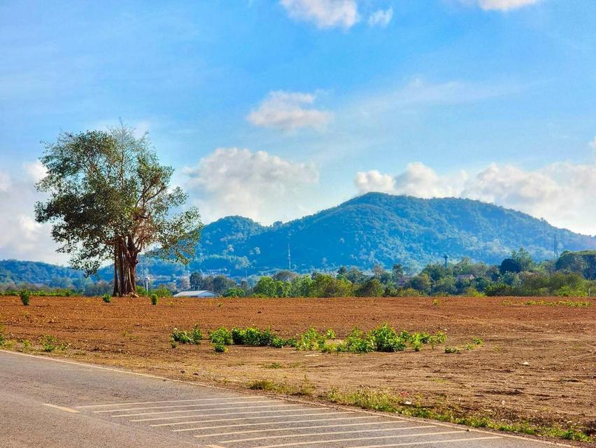 ขายที่ดินทำเลศักยภาพ ในอนาคตรถไฟฟ้าความเร็วสูงผ่าน และสนามบินนานาชาติอู่ตะเภา 1