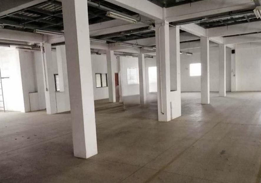 โรงงาน โกดัง อสังหาริมทรัพย์ 6