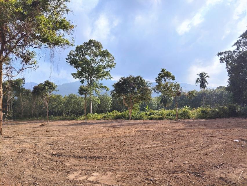 ที่ดิน 4 ไร่ เกาะสมุย 2