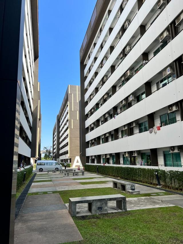 Plum Condo Phaholyothin 89 พลัมคอนโด พหลโยธิน 89, ปทุมธานี 22.52 ตรม. 7