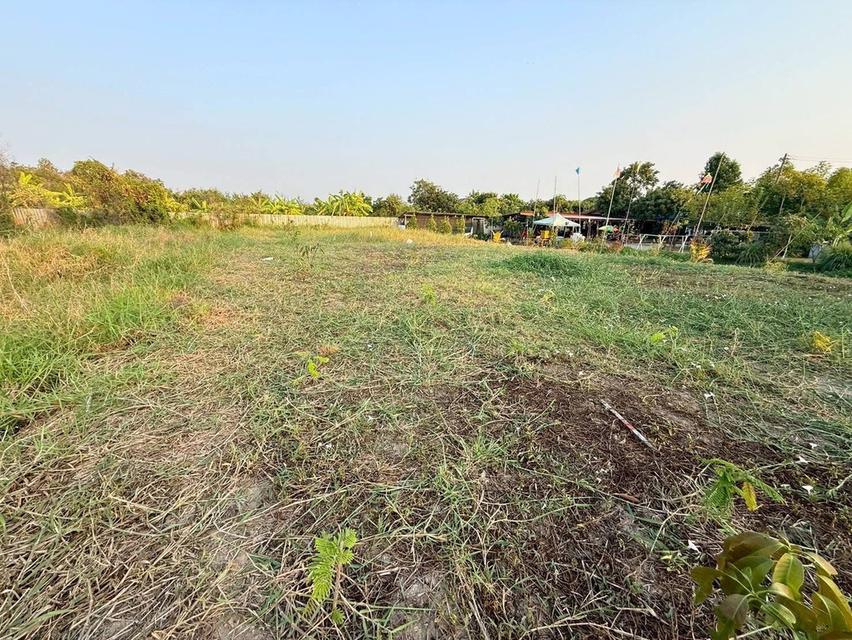 ขายด่วน !! ที่ดินตรงข้ามชีพีแรม(สนง.ใหญ่) 200 ตรว อ.ลาดหลุมแก้ว จ.ปทุมธานี 4