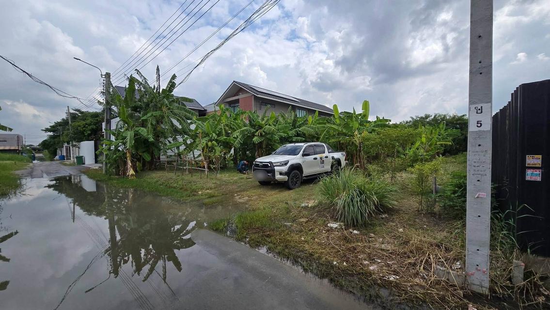 ขายที่ดินพัฒนาการ 191 ตรว ติดถนนลาดยางสาธารณะ ถมแล้ว ซ.พัฒนาการ 96 ประเวศ กทม. 2