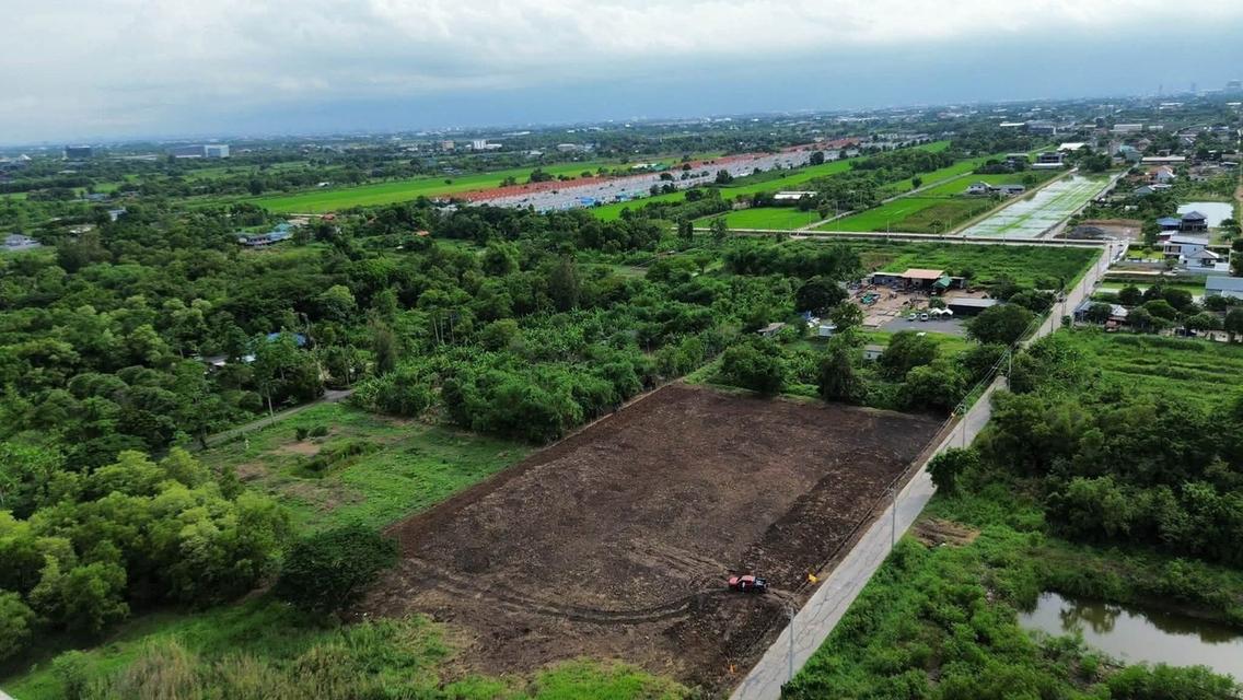 ขายด่วน! เหลือเพียง 2 แปลงสุดท้าย คลอง 6 ซอย 19 ฝั่งตะวันตก คลองหลวง ปทุมธานี 2