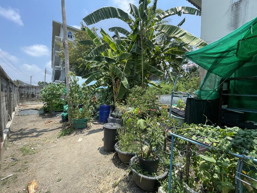 ขายบ้านทาว์นโฮม แปลงพื้นที่ดินบ้านหลังเดียวที่ใหญ่ที่สุดในหมู่บ้าน หลังริมสุด 80.9ตารางวา 3ห้องนอน2ห้องน้ำ ราคาพูดคุยกันได้ พร้อมโอน รูปย่อยที่ 4