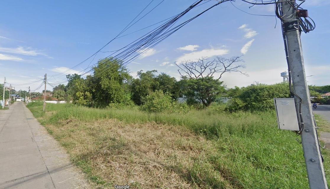 ขายที่ดิน 10 ไร่ 1 งาน 8.3 ตารางวา ตำบลลำนารายณ์ อำเภอชัยบาดาล จังหวัดลพบุรี 9