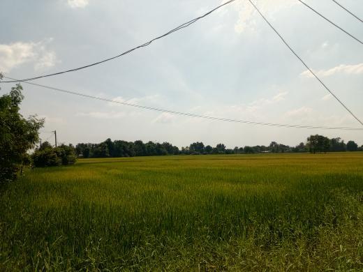 ขายที่ดิน อำเภอหนองมะโมง จังหวัดชัยนาท ห่างถนนใหญ่ 200 เมตร 6