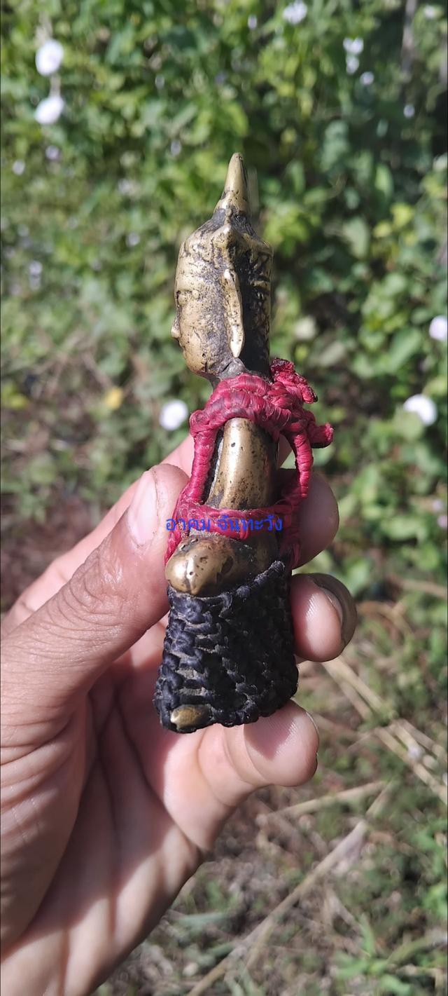 พญางั่งสุวรรณภูมินิ้วกระดก