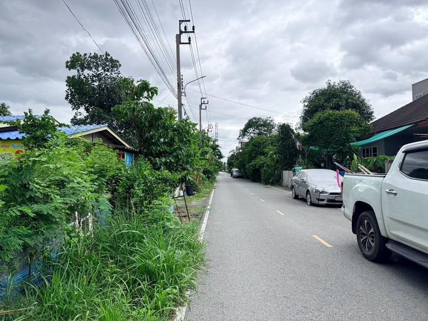 ขายด่วนที่ดิน 45 ตรว ติดถนนสาธารณะ ถมแล้ว ถ.เลียบคลองนายหลีก บางบัวทอง นนทบุรี 5