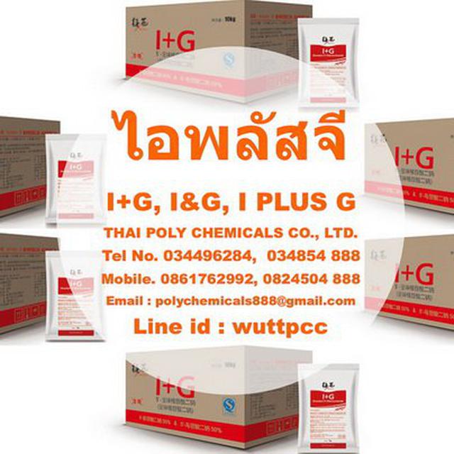 ไอพลัสจี, I PLUS G, I+G, I&G, ไรไบนิวคลีโอไทด์, Ribonucleoti 3