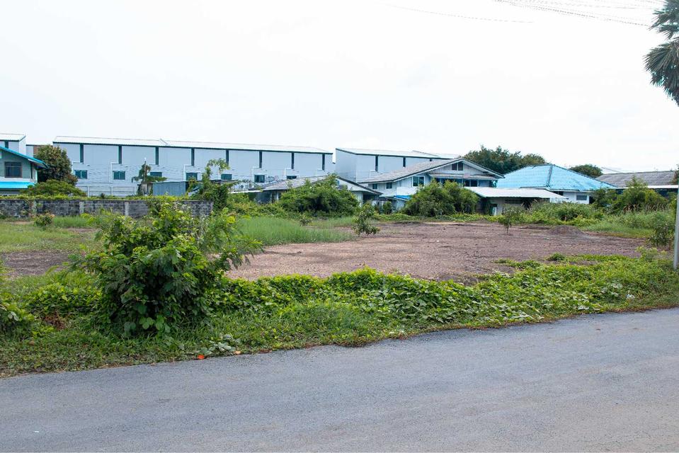 อาสังหาริมทรัพย์ที่ดิน 4