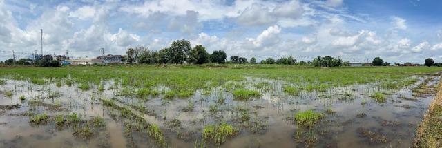 ขายที่ดินติดถนนใหญ่ บางน้ำเปรี้ยว จ.ฉะเชิงเทรา ทำเลทอง ใกล้สนามบินสุวรรณภูมิ 6